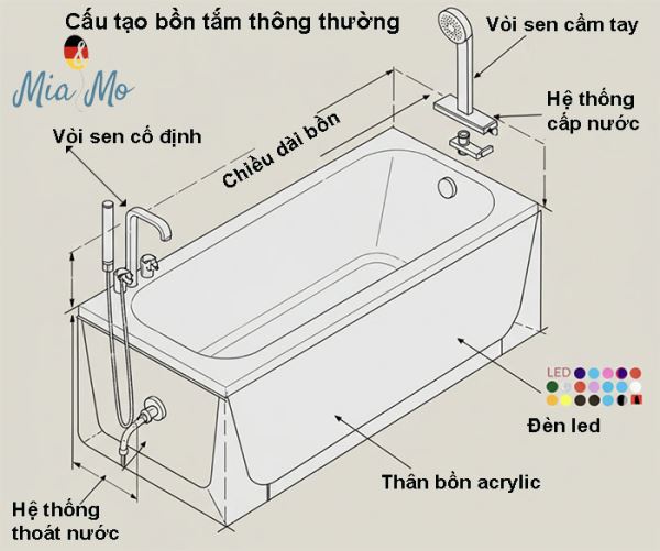 blog/kien-thuc-bon-tam/cau-tao-bon-tam