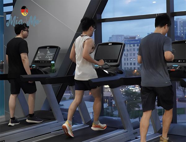 blog/kien-thuc-xong-hoi/phong-gym-co-xong-hoi-ha-noi