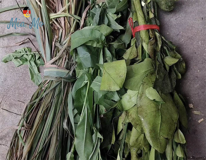tác dụng của xông hơi bằng lá cây