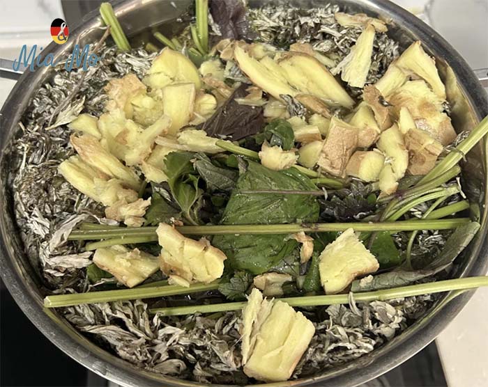 xông hơi toàn thân bàng lá tía tô